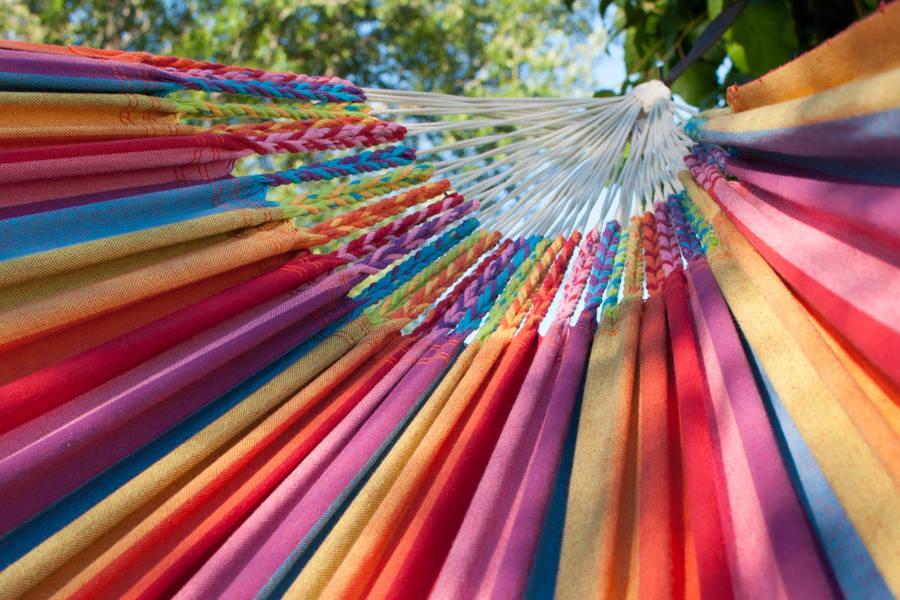 extra large family size mammoth hammock colora by emilyhannah ltd