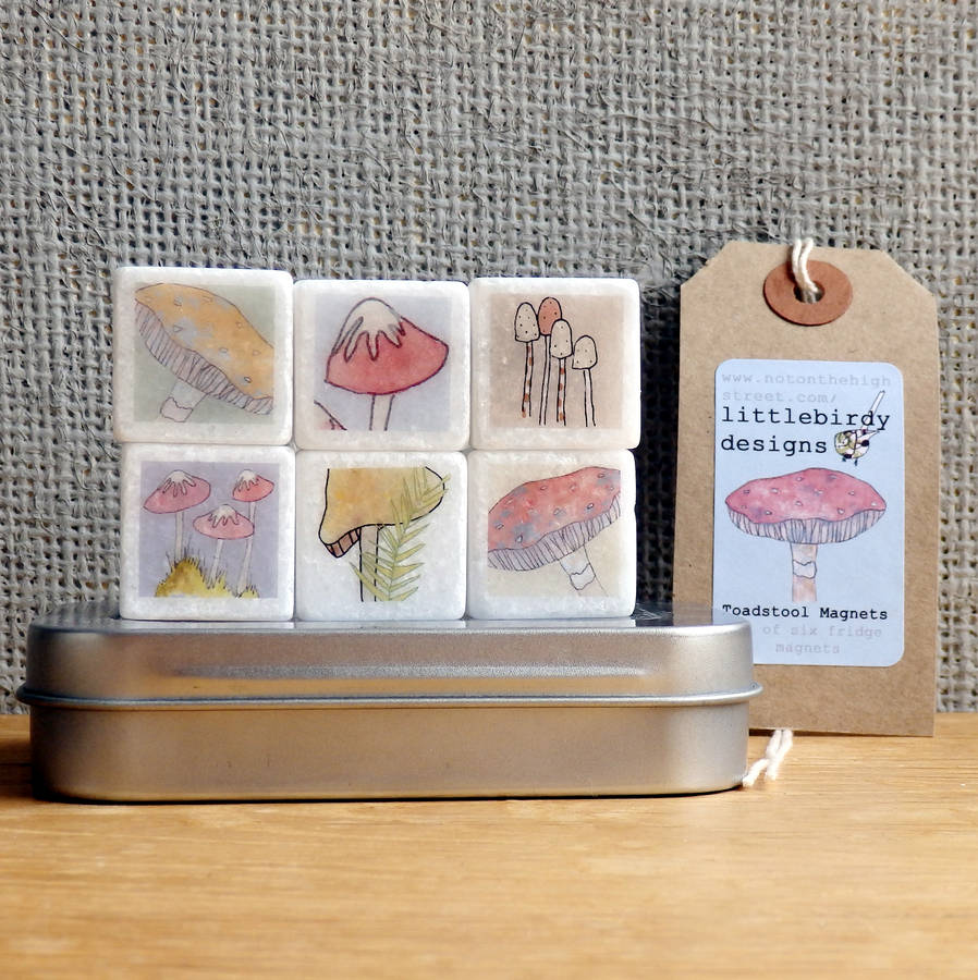 toadstool mini marble fridge by littlebirdydesigns