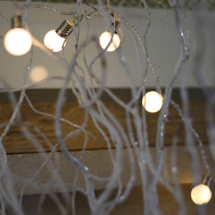 string of light bulbs 2m by the wedding of my dreams notonthehighstreet.com