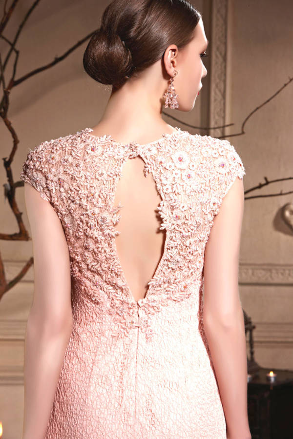 Soft Pink Embellished Evening Dress By Elliot Claire London