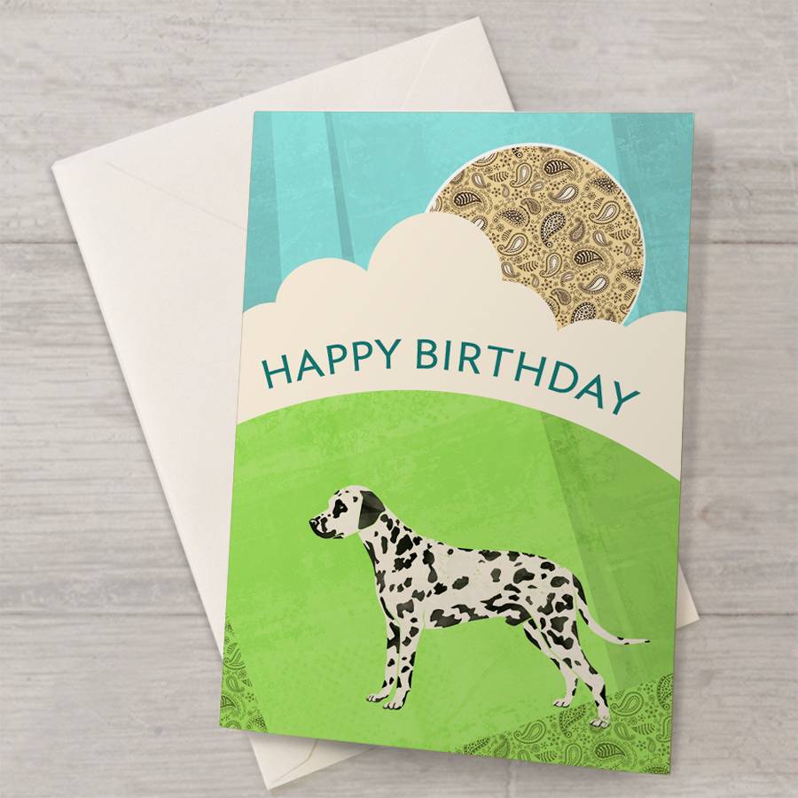 dalmatian birthday card by well bred design