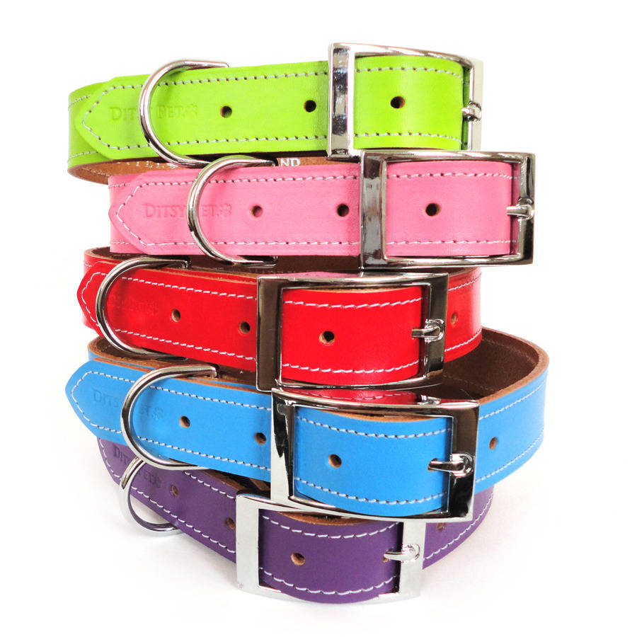leather dog collar by ditsy pet