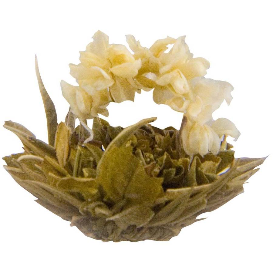 jasmine bow flowering tea by the exotic teapot