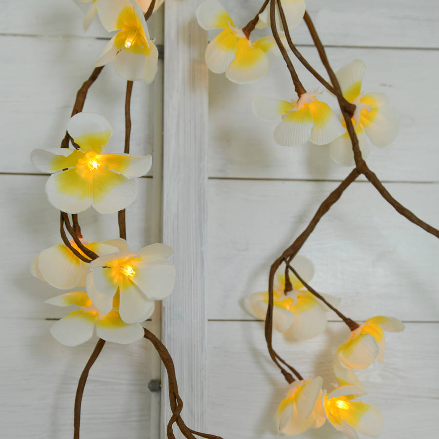 tropical frangipani flower light chain by home & glory