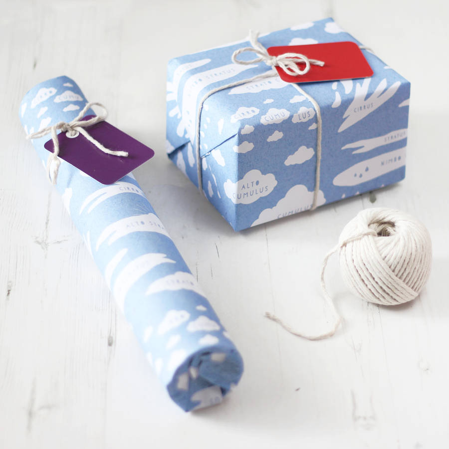 cloud types educational gift wrap set by newton and the apple