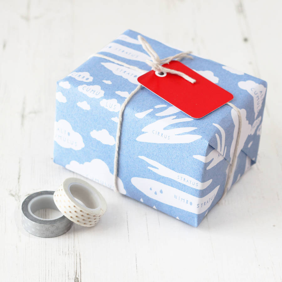cloud types educational gift wrap set by newton and the apple