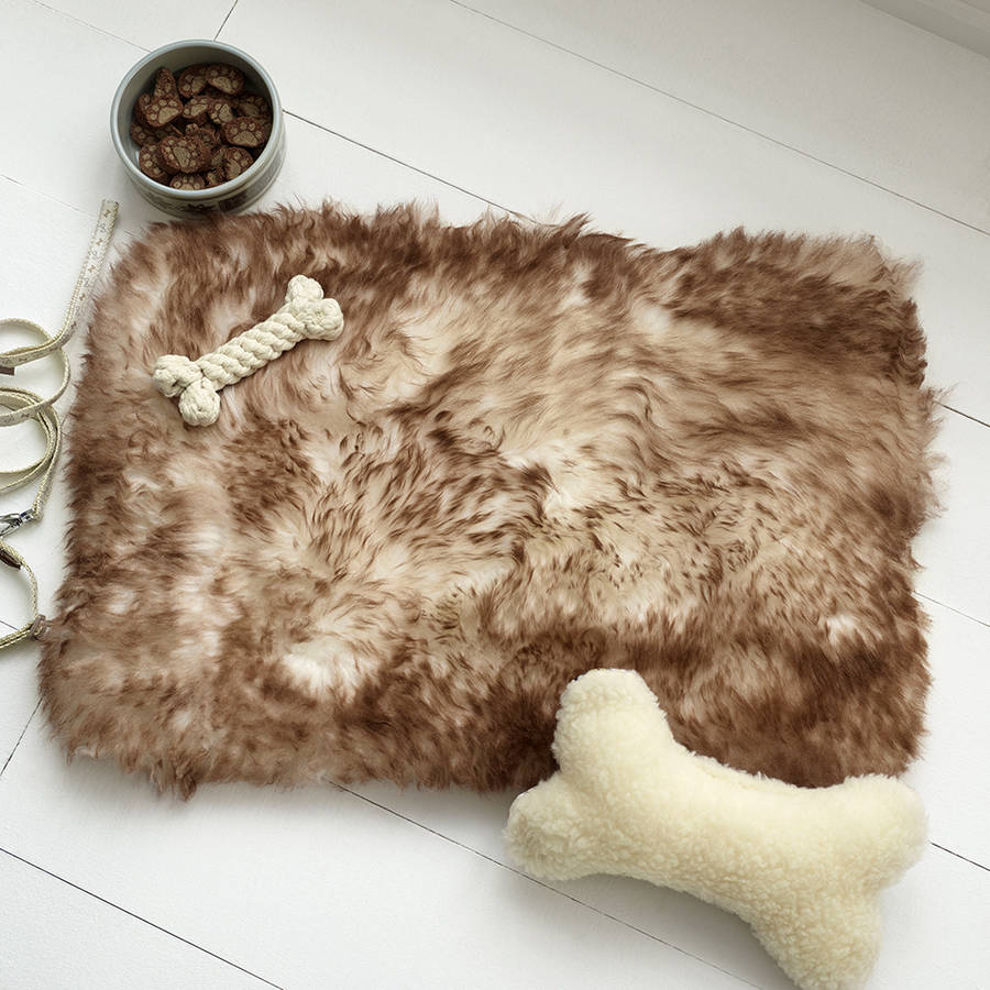 sheepskin-pet-rug-by-the-wool-room-notonthehighstreet