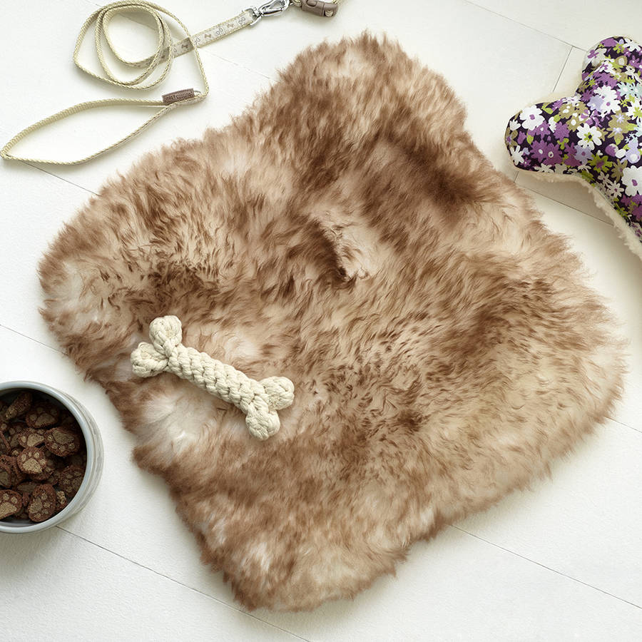 sheepskin pet rug by the wool room