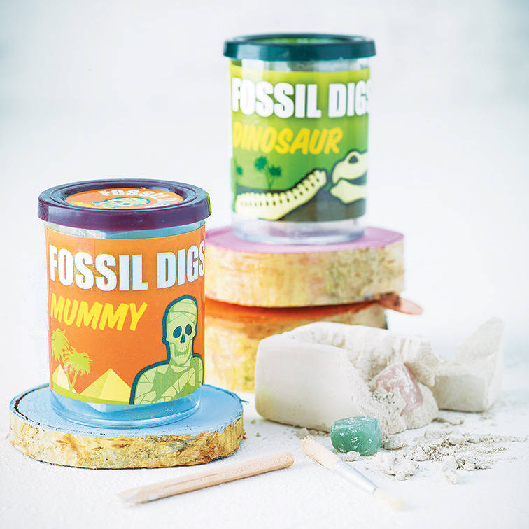 discovery fossil dig kit