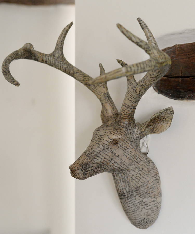 stuffed stag head