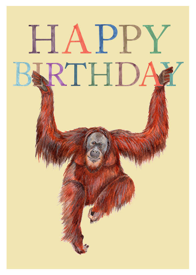 orangutan birthday card by naomi stay