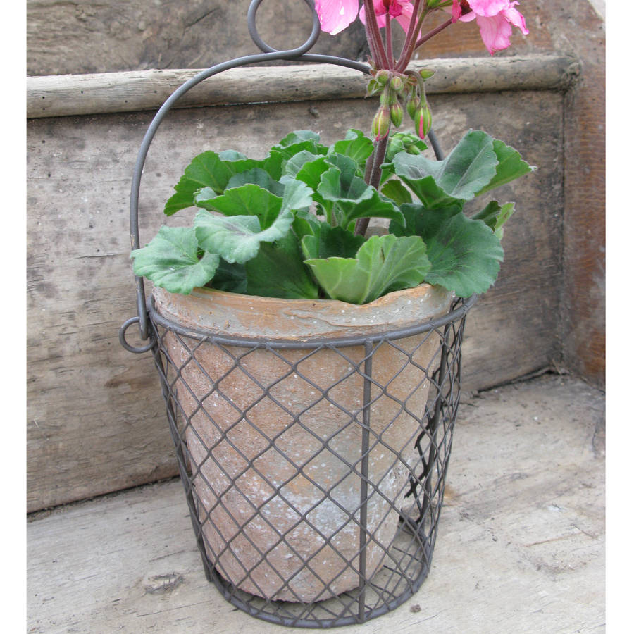 clay pot in wire basket by the new eden