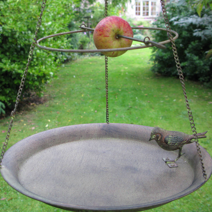 hanging steel bird dish by the new eden