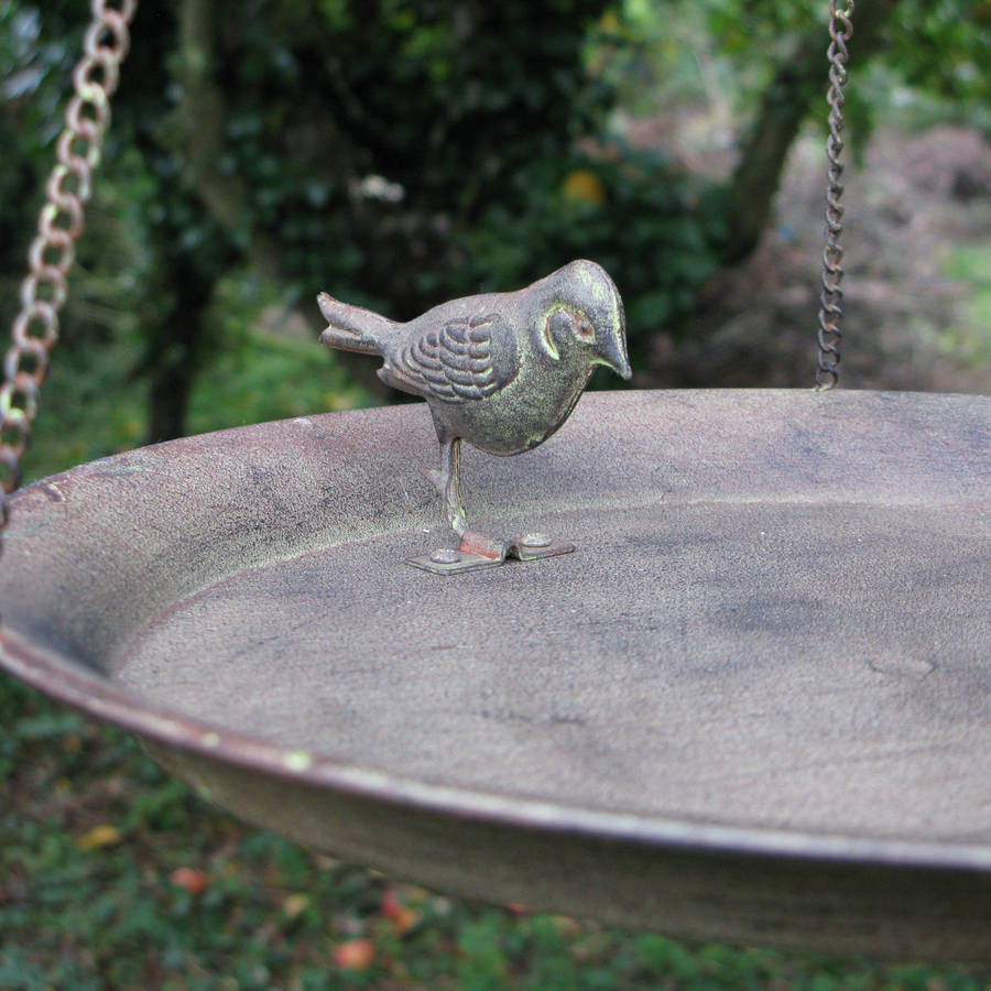hanging steel bird dish by the new eden