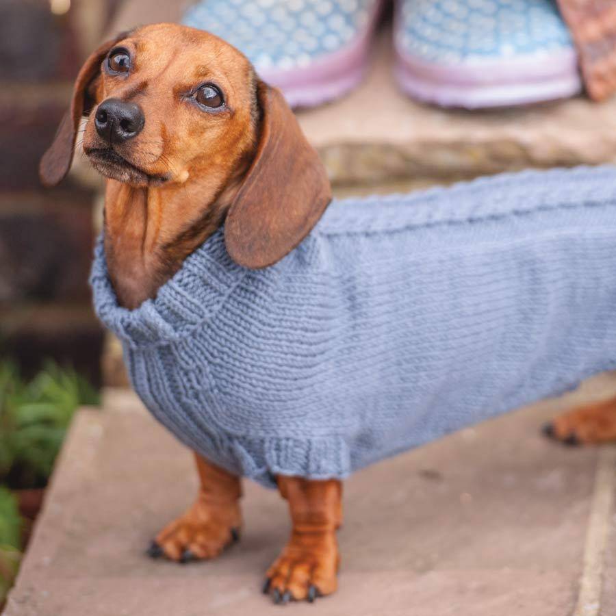 dog jumper knitting kit dashing dachshund by redhound for dogs