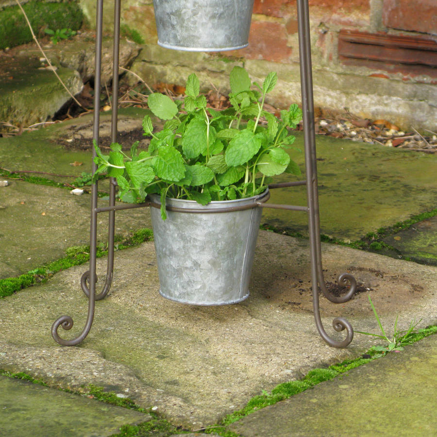 plant stand with zinc pots by the new eden