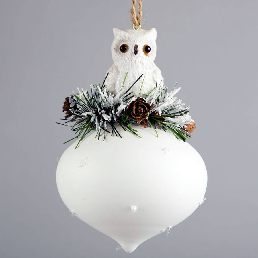 stuffed owl in glass dome