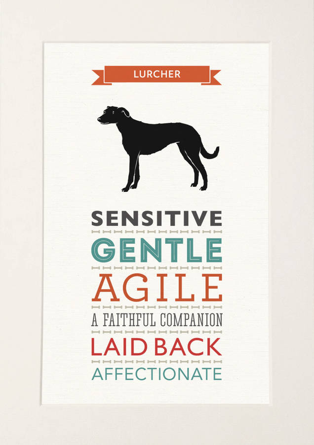 lurcher dog breed traits print by well bred design