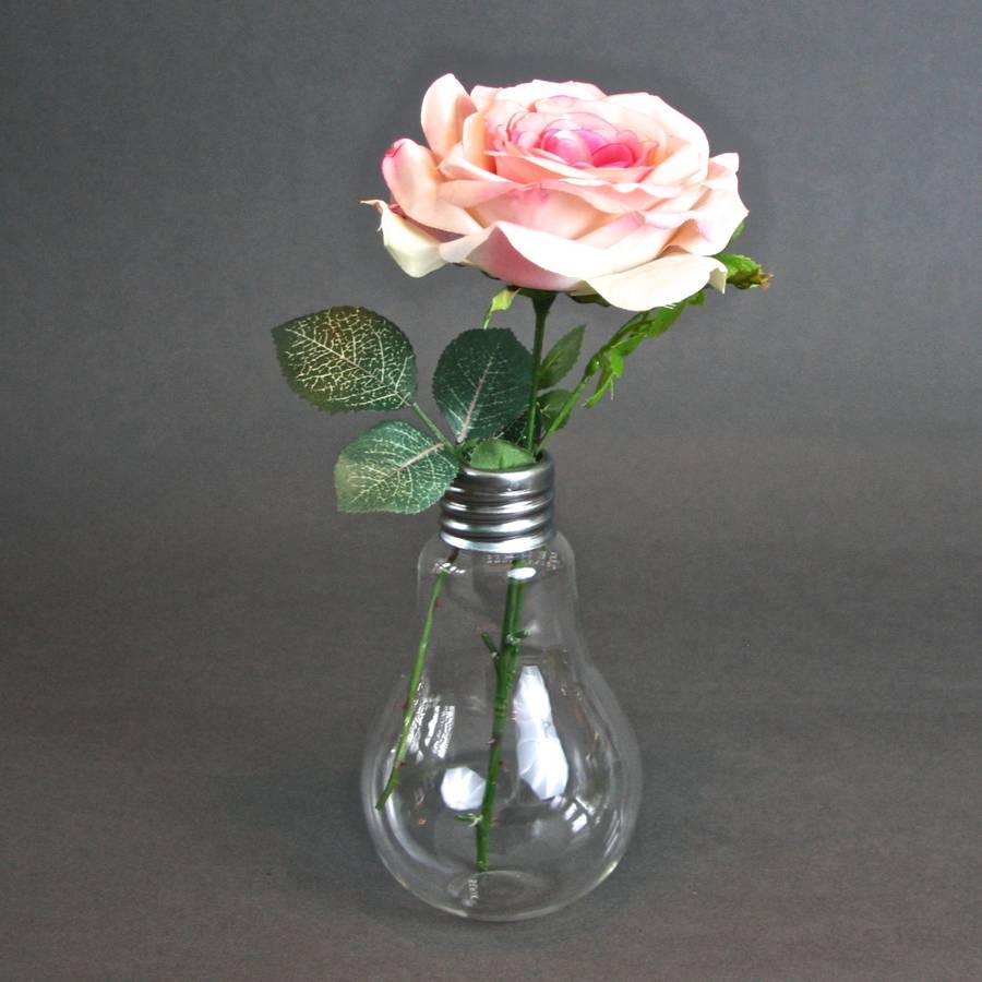 Single Pink Rose In A Vase