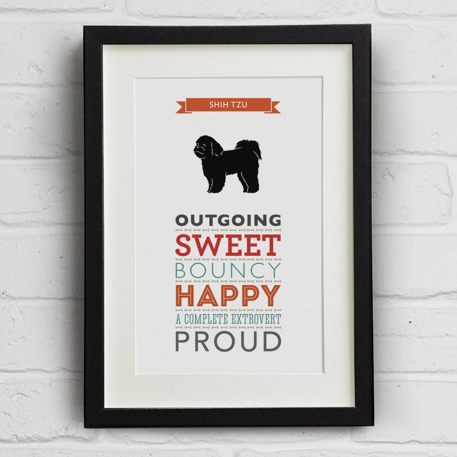 shih tzu designer breeds shih tzu breed traits print by well bred design notonthehighstreet shih tzu designer breeds shih tzu breed traits print by well bred design notonthehighstreet
