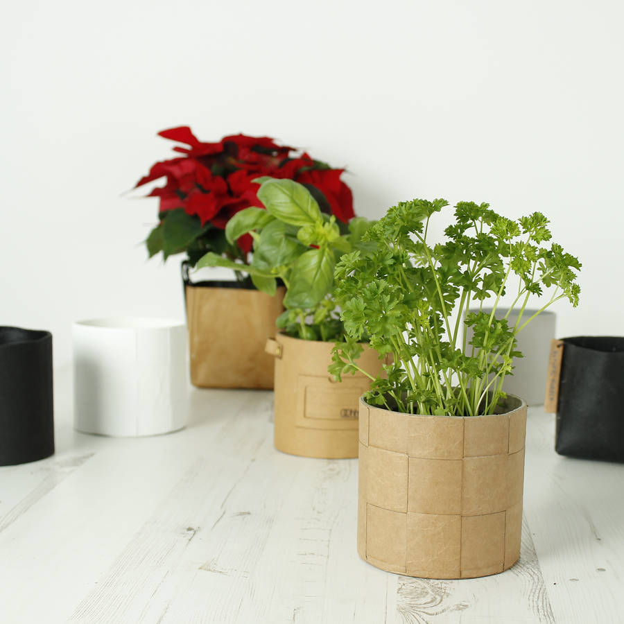 Eco friendly plant pots information