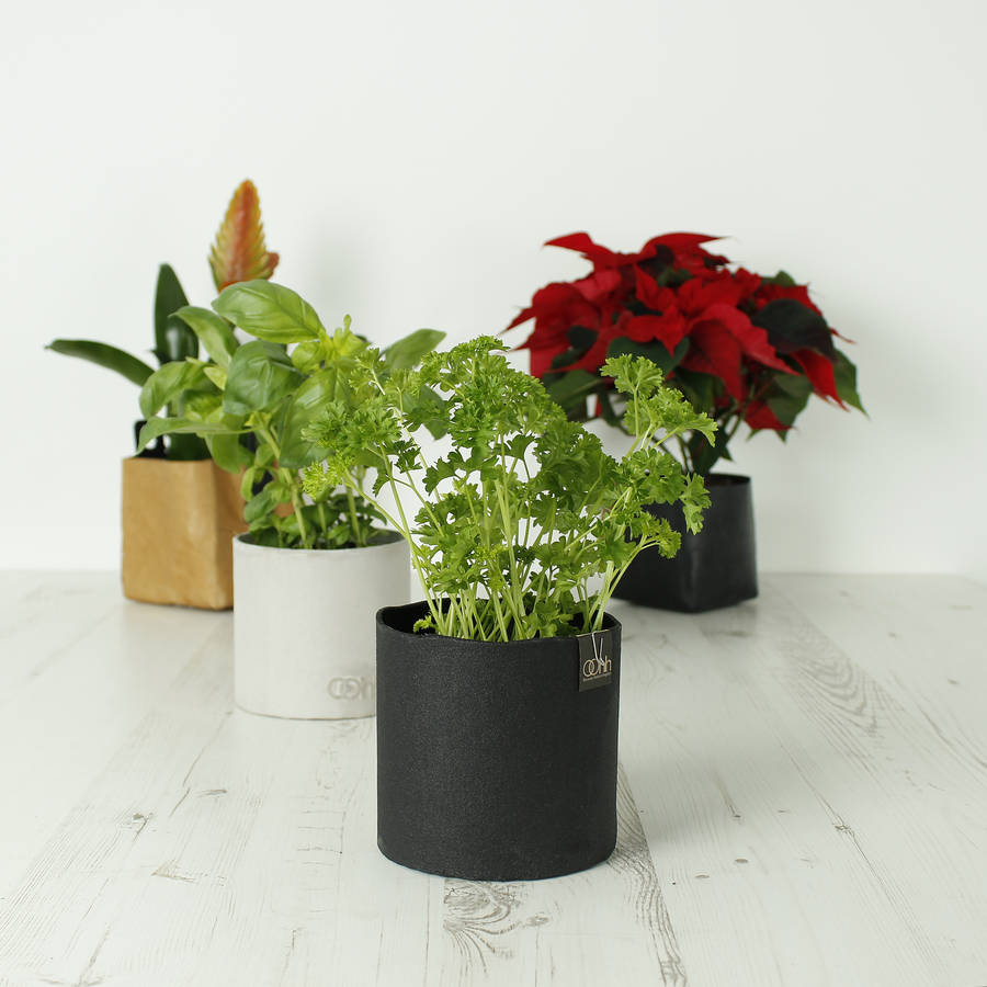 eco friendly indoor plant pots by green tulip ethical