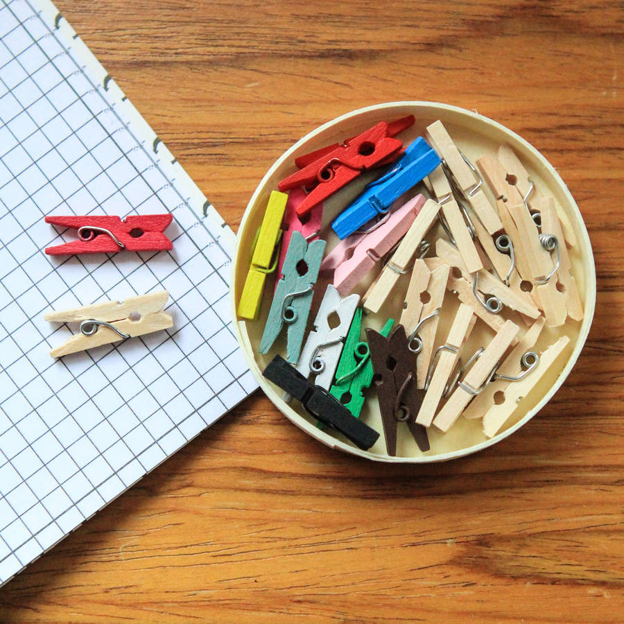 12 mini wooden pegs by berylune