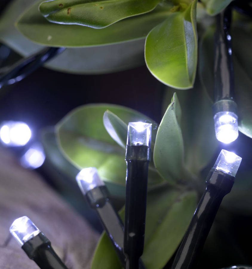 100 led battery white string lights by garden selections notonthehighstreet.com