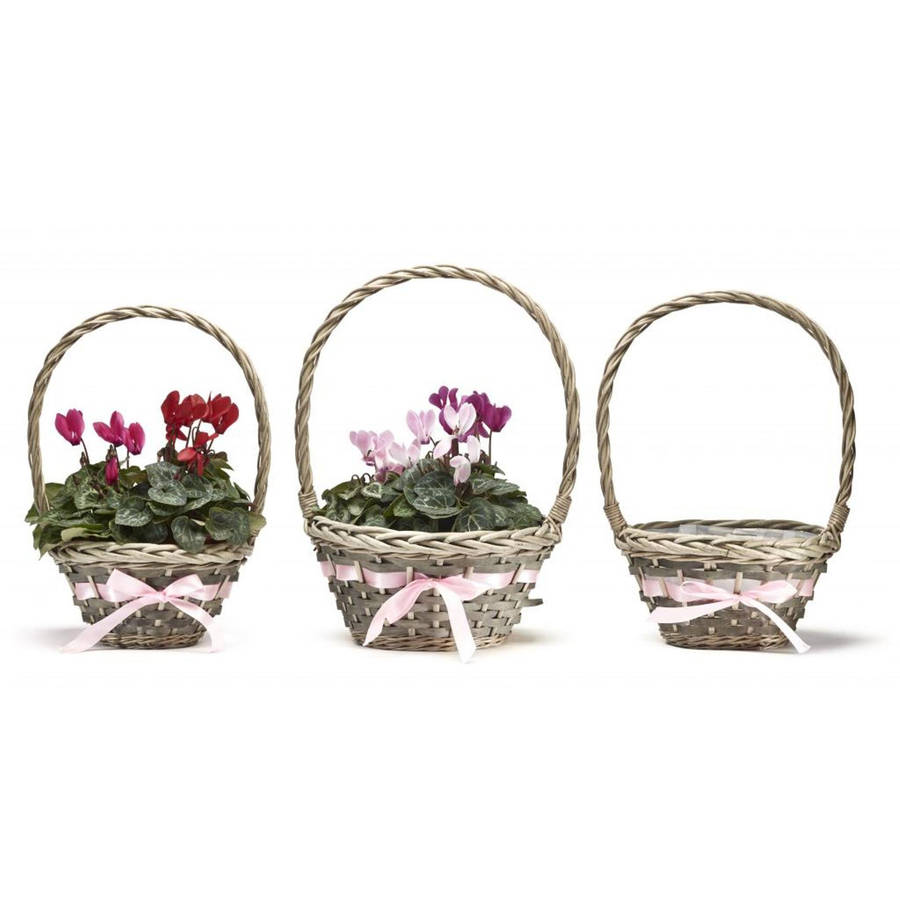 set of three wicker baskets with pink ribbons by garden selections | notonthehighstreet.com