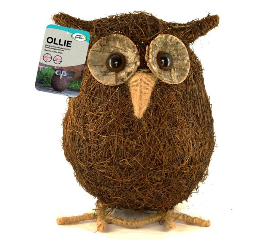 garden ornament / ollie the owl by garden selections