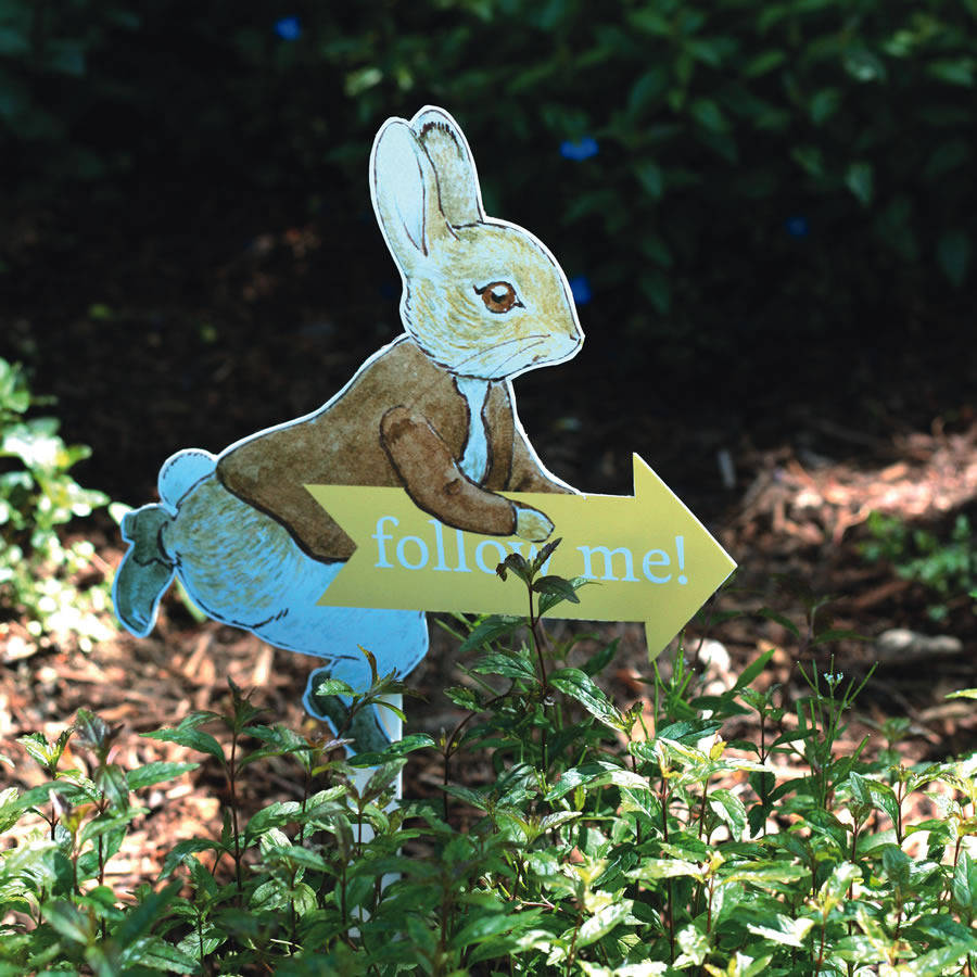 easter peter rabbit egg hunt kit by little baby company