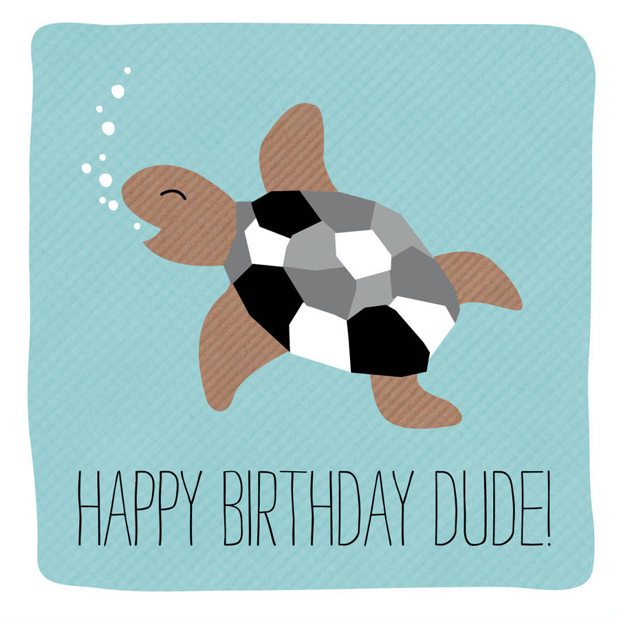 turtle-birthday-card-by-allihopa-notonthehighstreet