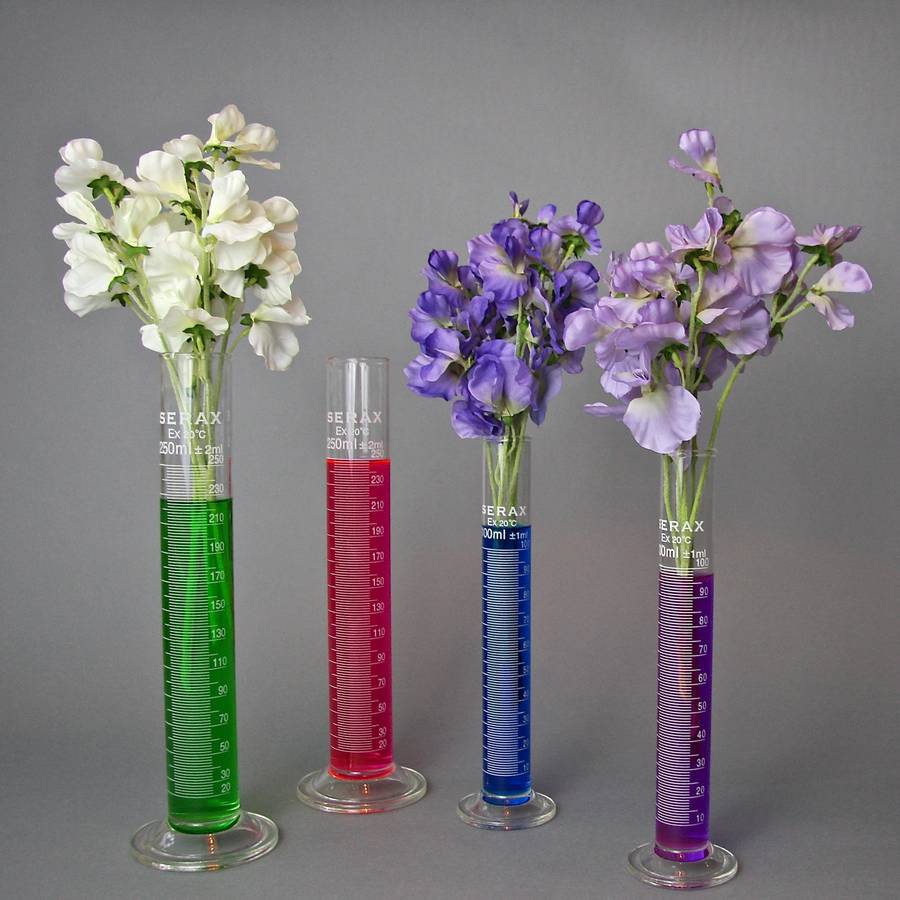 laboratory measuring cylinder vase by london garden trading