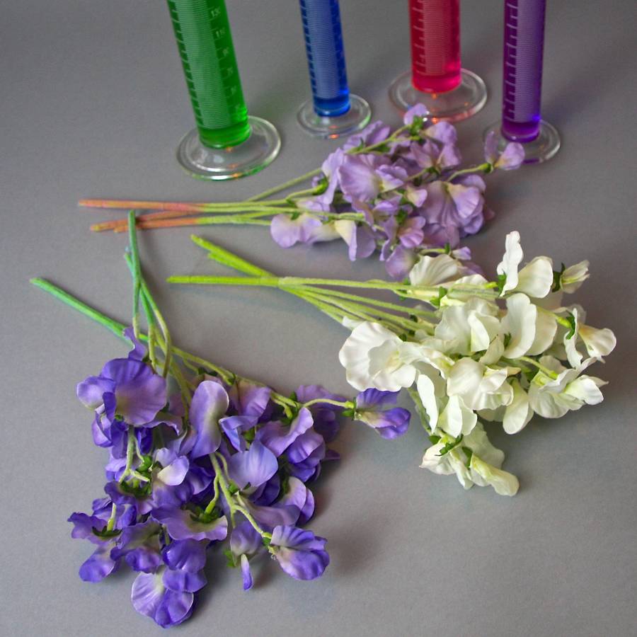 laboratory measuring cylinder vase by london garden trading