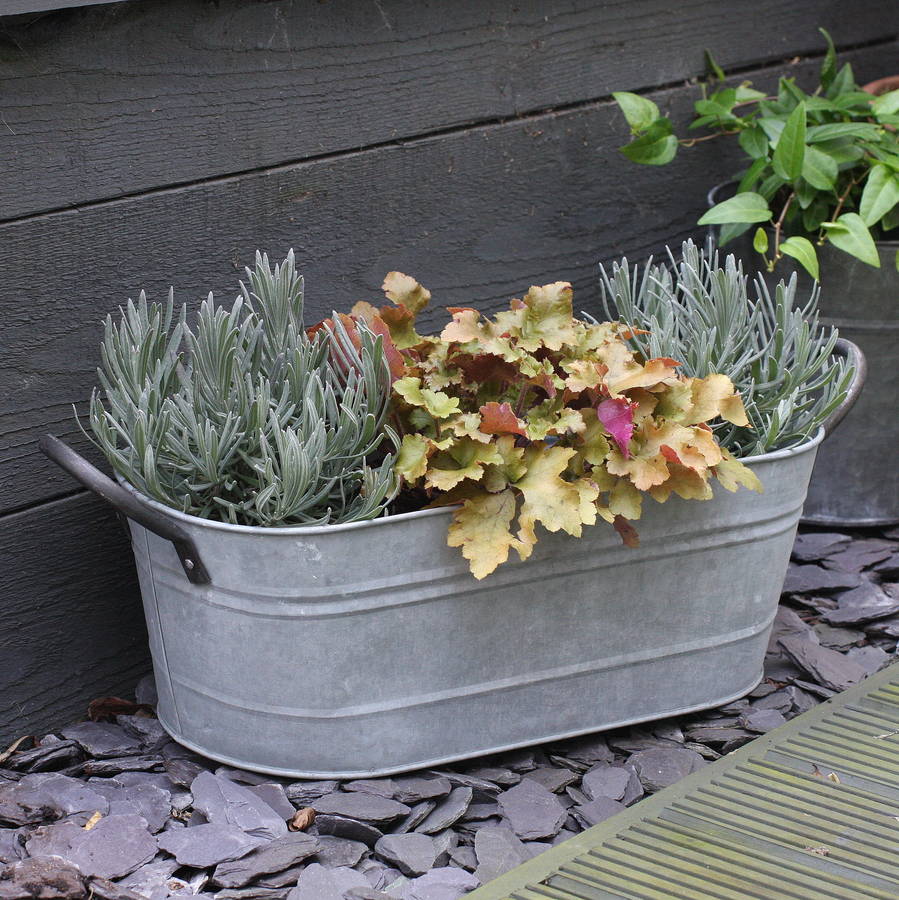 zinc trough planter by magpie living