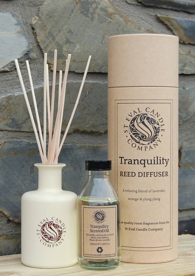reed diffuser by st eval candle company