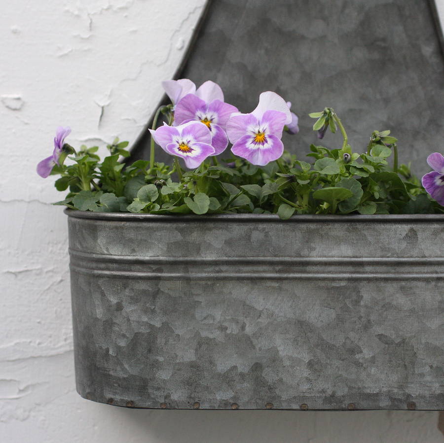 two zinc wall planters by magpie living