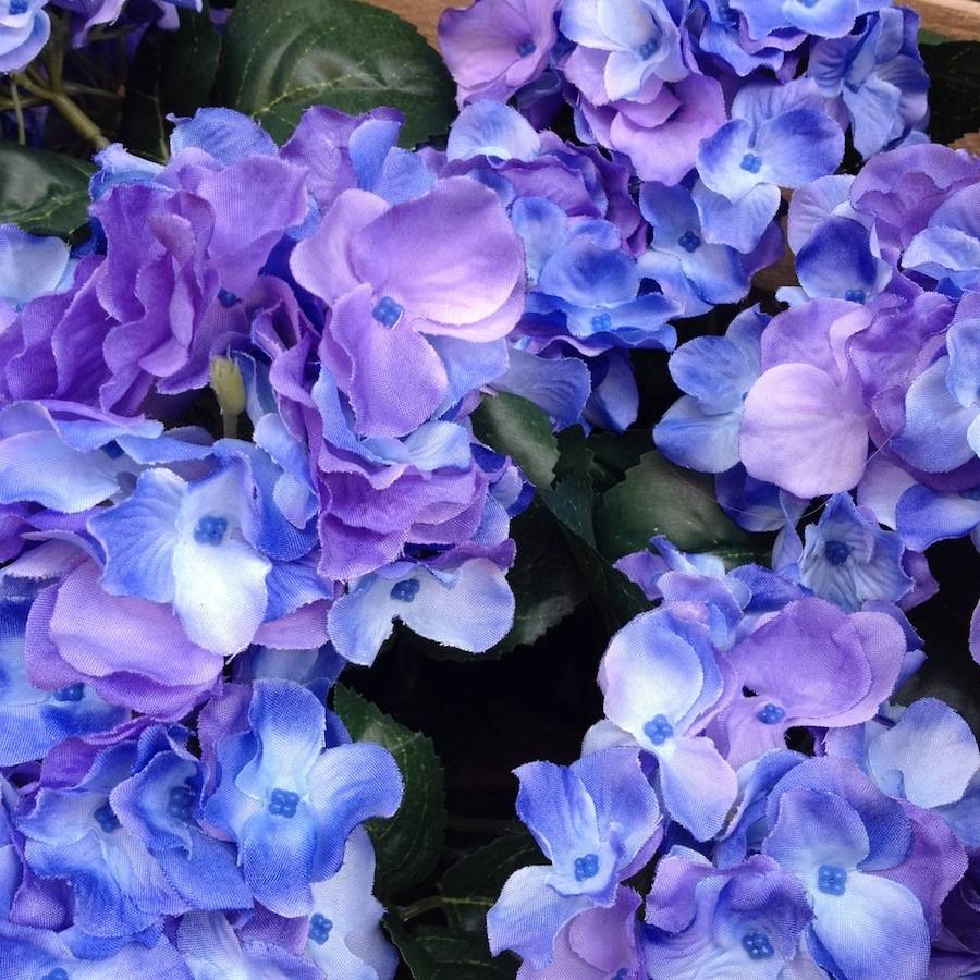 faux hydrangea plants by violette