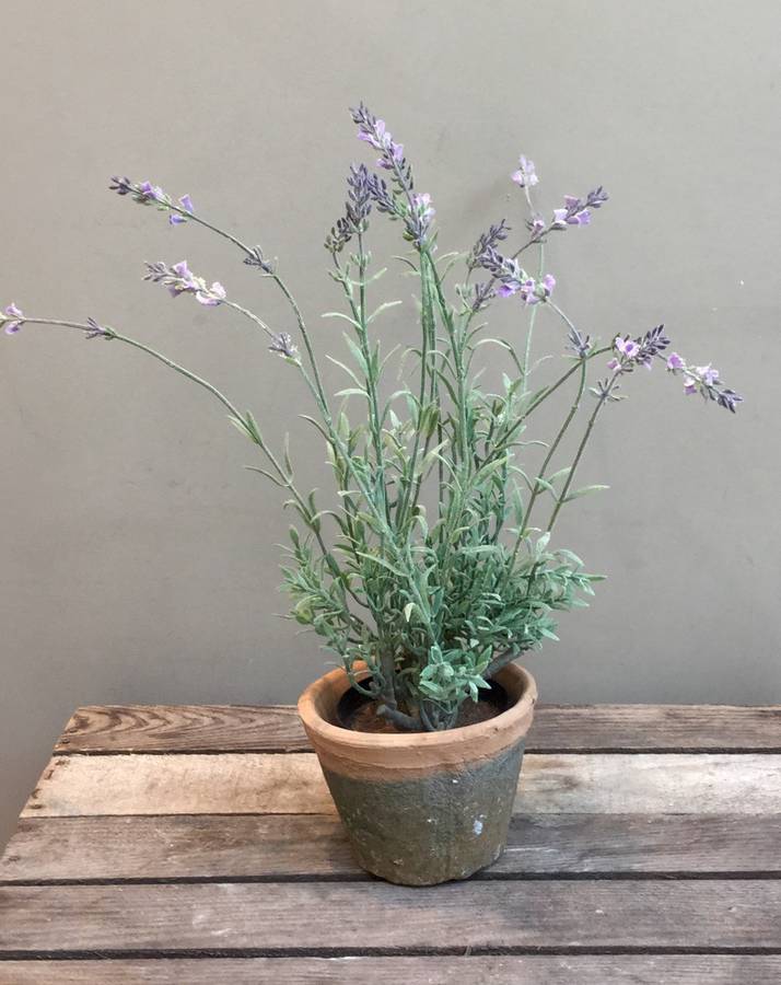 artificial lavender plant in terracotta pot by funky bunch