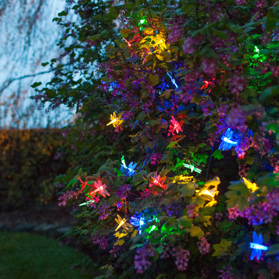solar multi coloured fairy lights