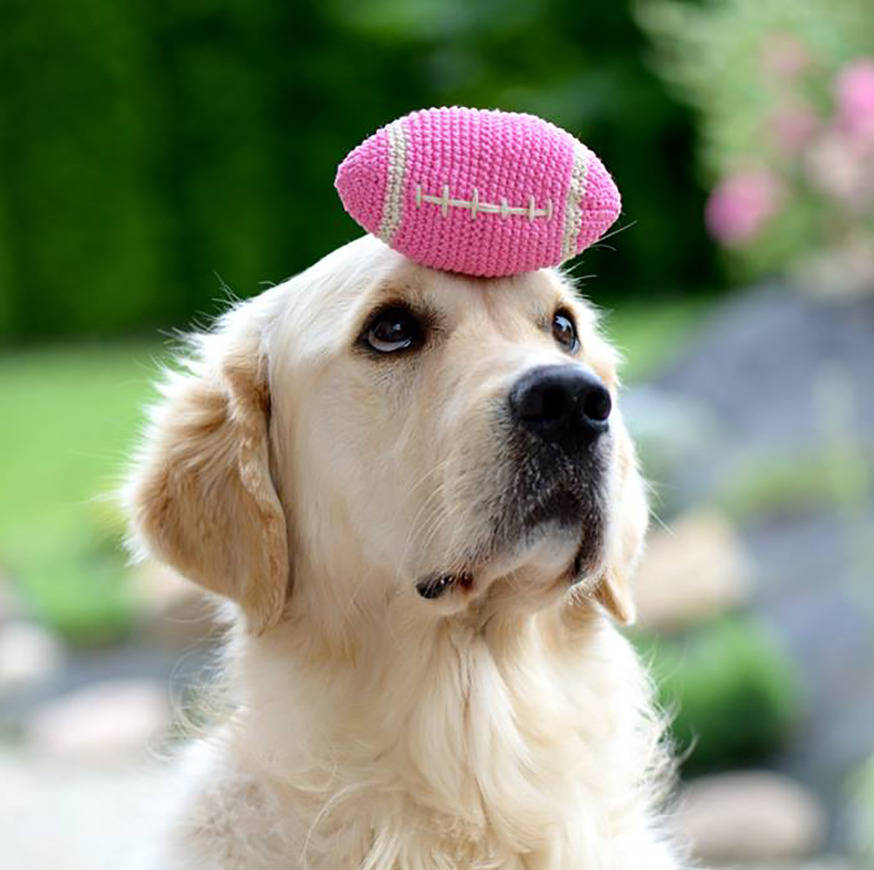 pet rugby ball by jolly & bea's dog & cat accessories