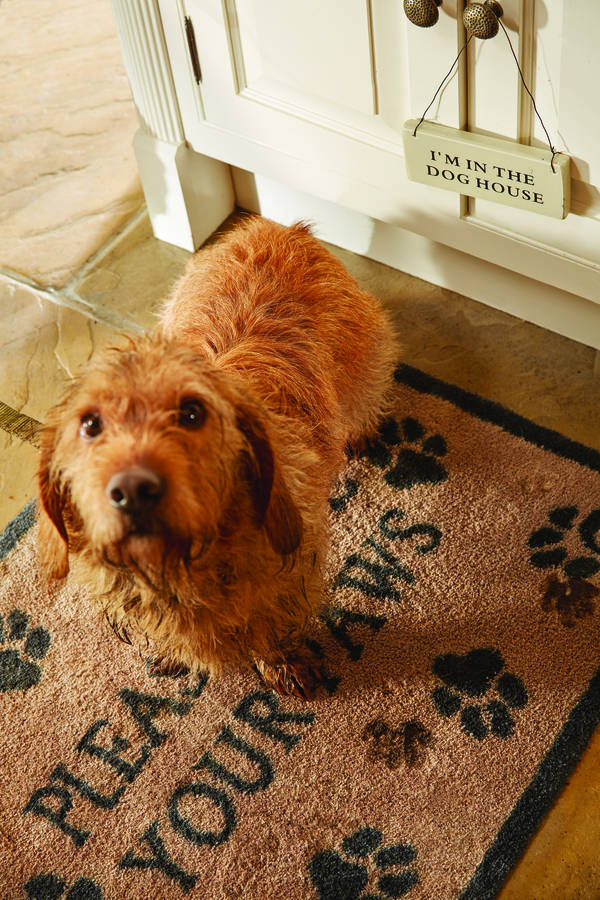 pets range mats by hug rug