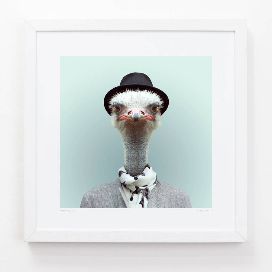 ostrich art print by evermade | notonthehighstreet.com