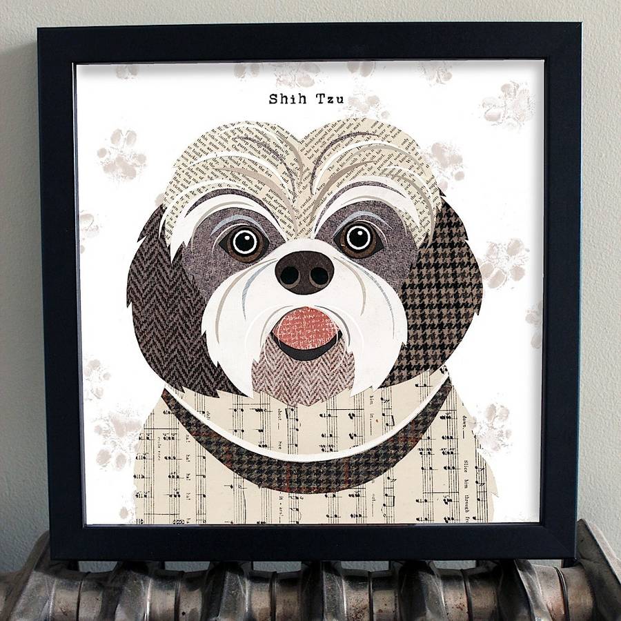 shih tzu dog print by simon hart | notonthehighstreet.com