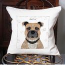 staffordshire bull terrier cushion