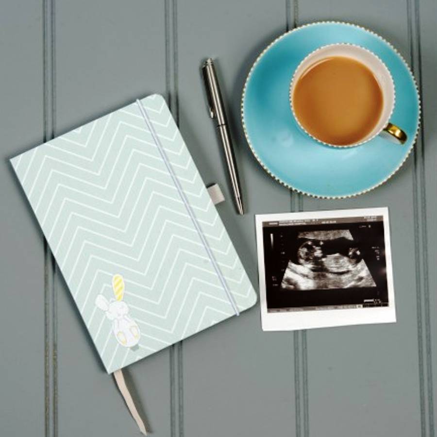 Pregnancy Journal By The Contemporary Home