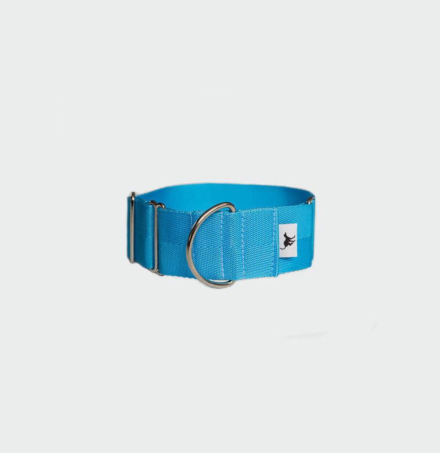 finnstown martingale hound collar by brindle & whyte