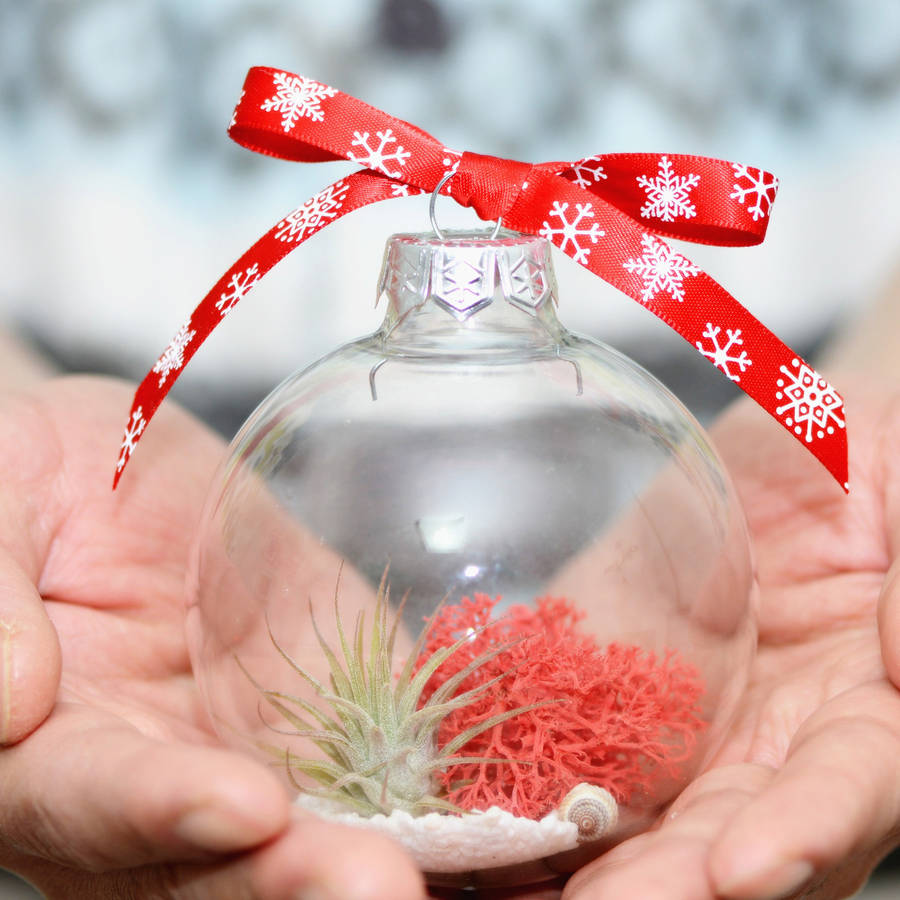 air plant terrarium glass christmas bauble by dingading terrariums
