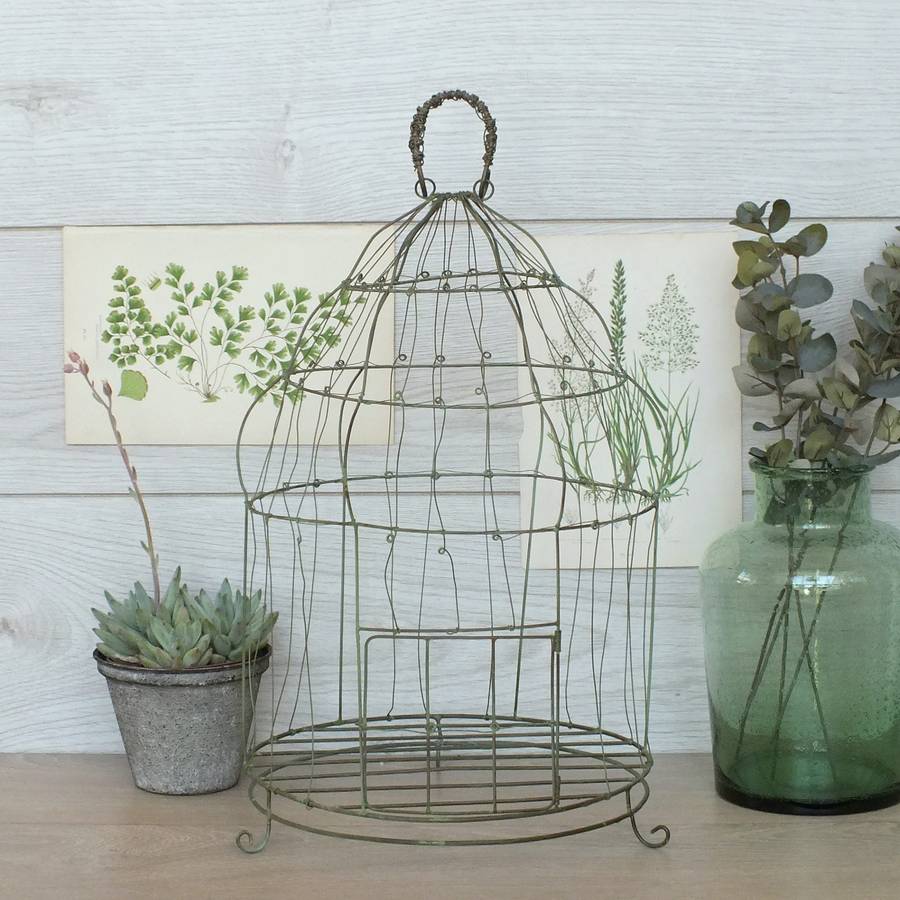 large botanical wire bird cage by magpie living