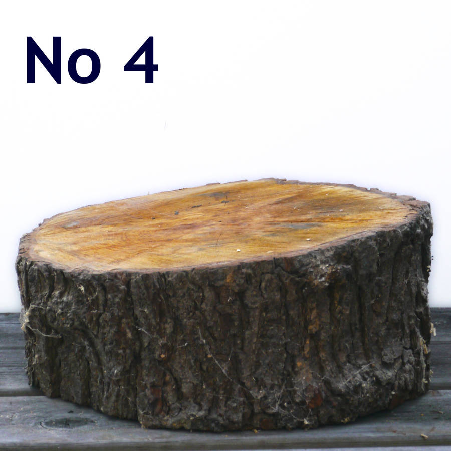 tree cake stand by cairn wood design